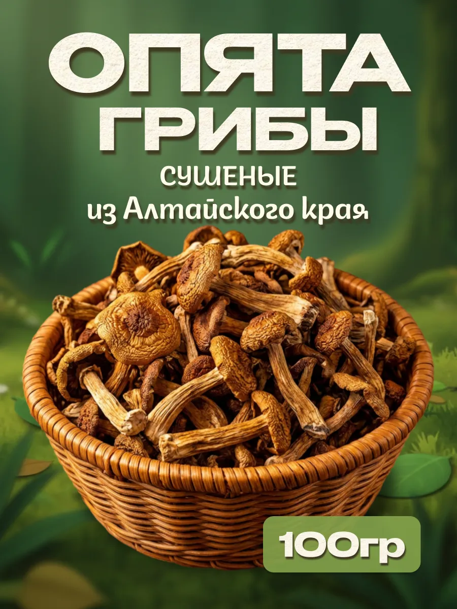 Грибы опята сушеные 100гр