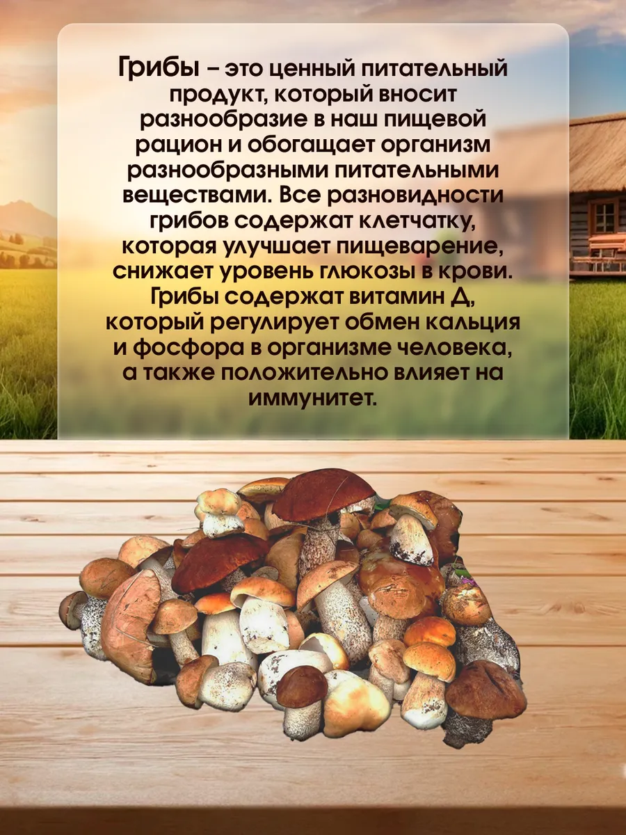 Белые грибы сушеные, маринованные и молотые (набор)