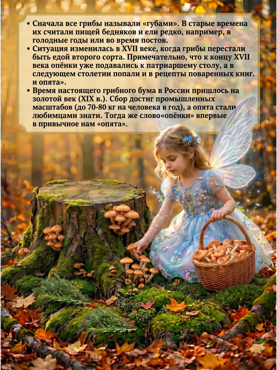 Опята грибы сушеные 100гр