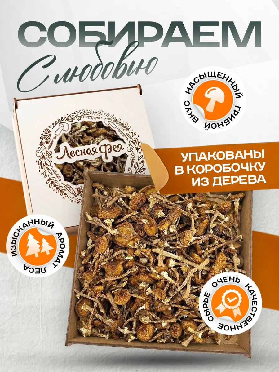 Грибы опята сушеные 200г.