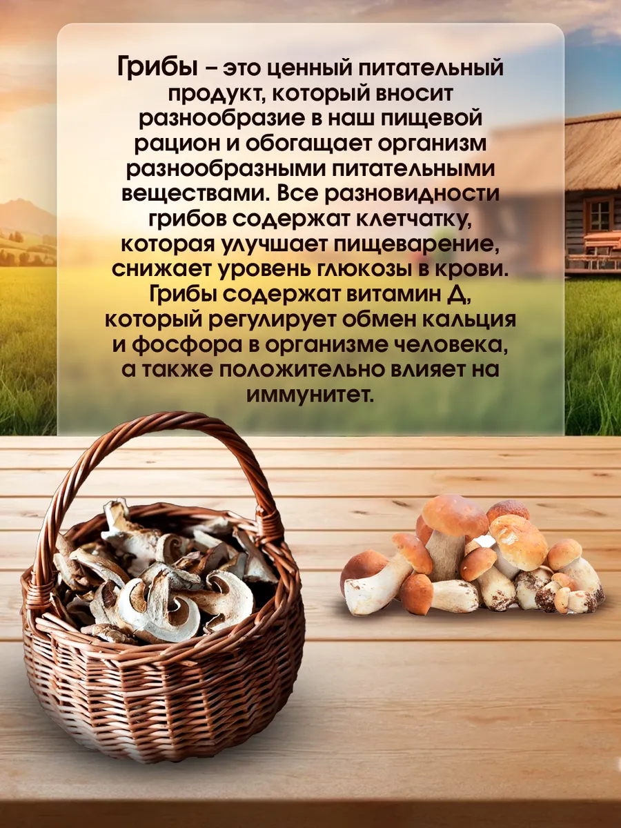 Белые грибы сушеные 70г