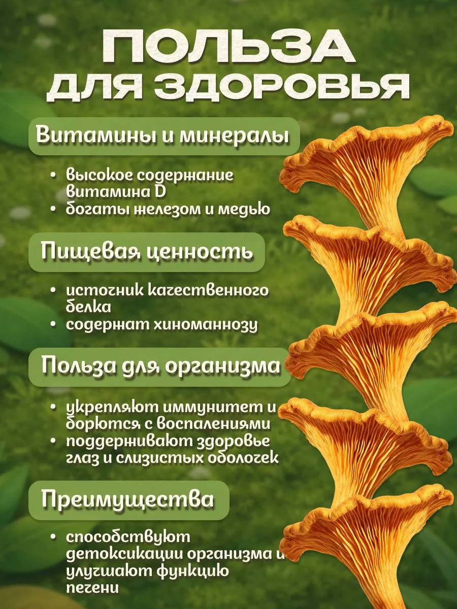 Грибы лисички сушеные 200гр