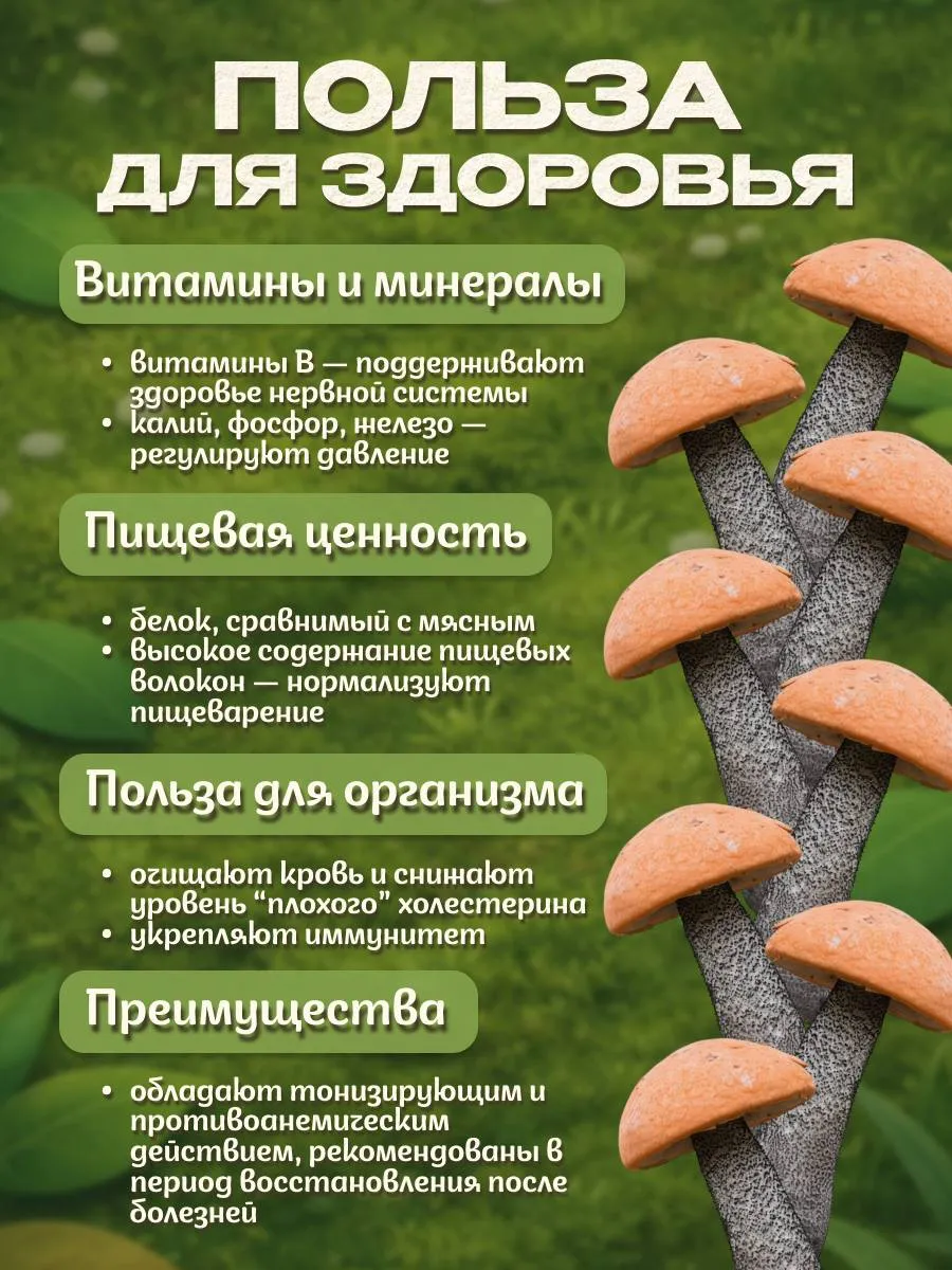 Грибы подосиновики сушеные 200гр