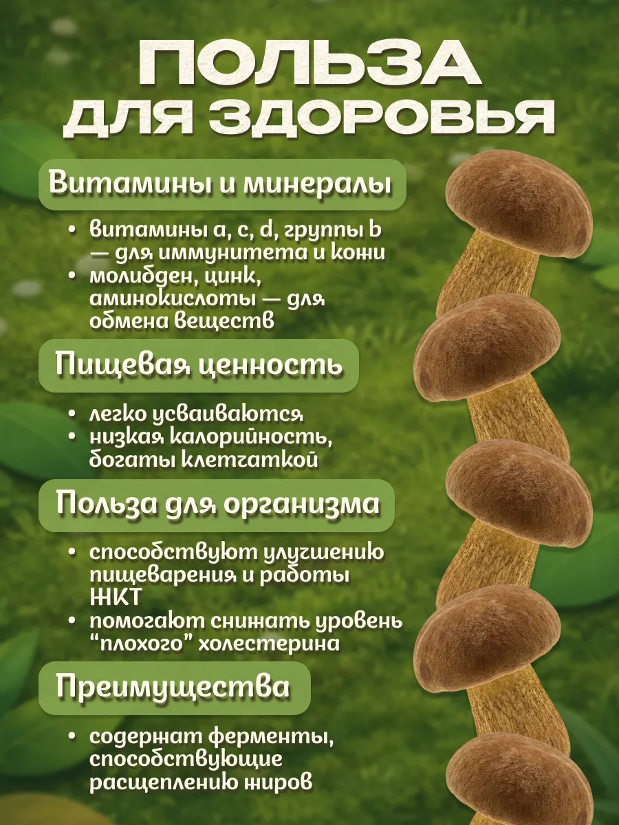 Грибы моховики сушеные 150гр
